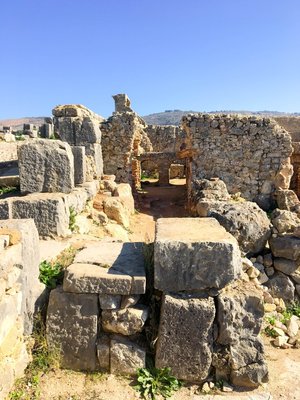 IMG_5684.jpg