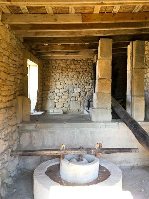 IMG_5692.jpg