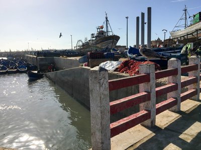 IMG_5883.jpg