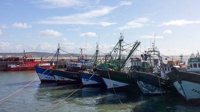 IMG_5892.jpg
