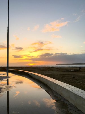 IMG_5948.jpg