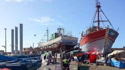 IMG_5885.jpg