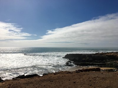 IMG_6238.jpg