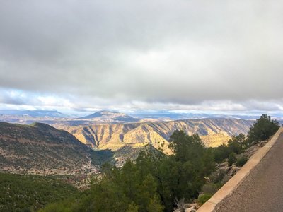 IMG_6295.jpg