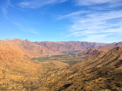 IMG_6446.jpg