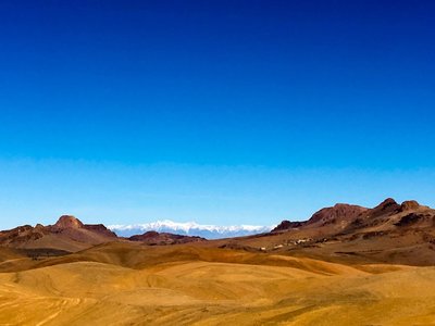 IMG_6536.jpg
