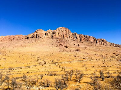 IMG_6543.jpg