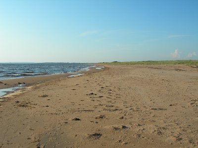 DSCN1172.JPG