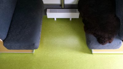 Neuer Lino-Boden (3) (Groß).jpg