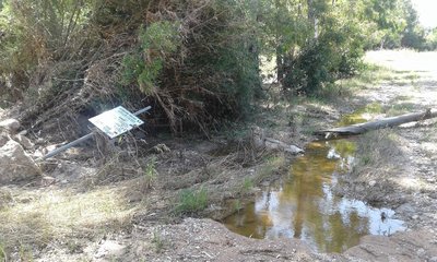 Rio-Coghinas-Hochwasserspuren2.jpg