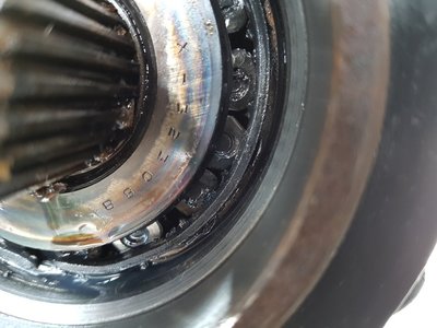 20180629_162847.jpg
