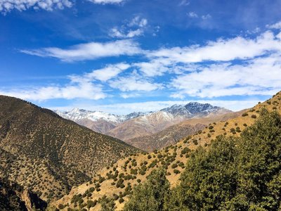 IMG_6625.jpg