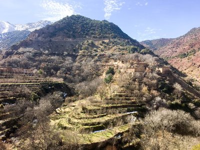 IMG_6650.jpg