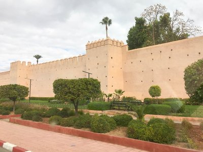 IMG_6737.jpg