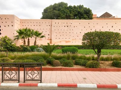 IMG_6739.jpg