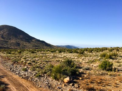 IMG_6800.jpg