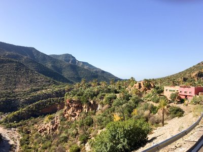 IMG_6805.jpg