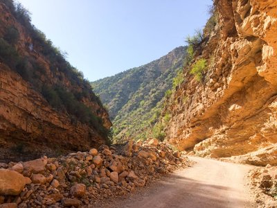 IMG_6813.jpg