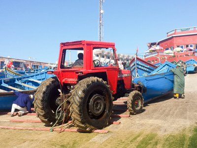 IMG_6906.jpg
