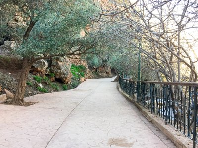 IMG_7086.jpg