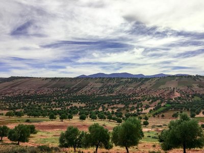 IMG_7191.jpg