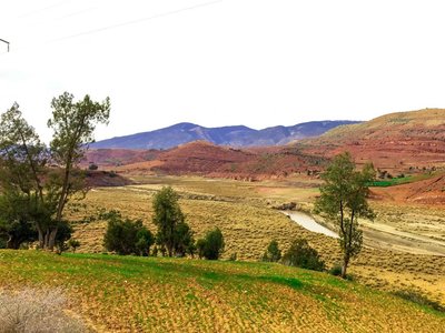 IMG_7304.jpg