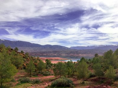 IMG_7268.jpg