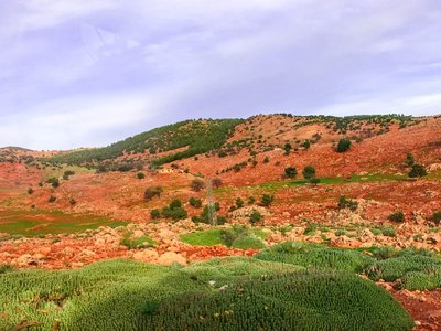 IMG_7366.jpg