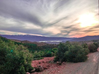 IMG_7370.jpg
