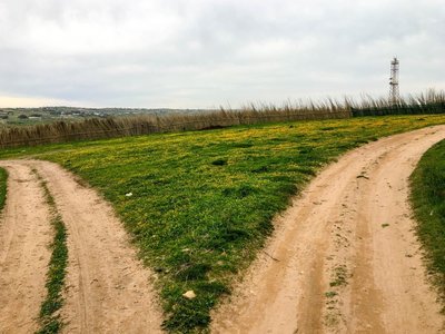 IMG_7631.jpg