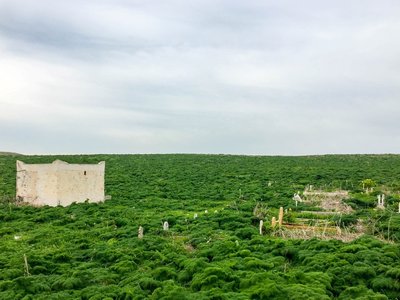 IMG_7649.jpg