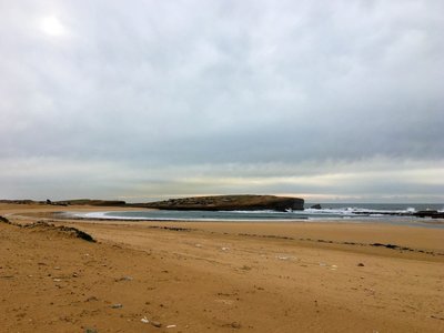 IMG_7664.jpg