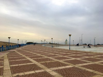 IMG_7725.jpg