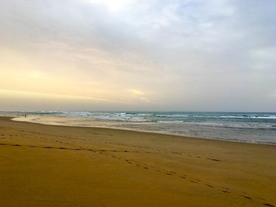 IMG_7731.jpg