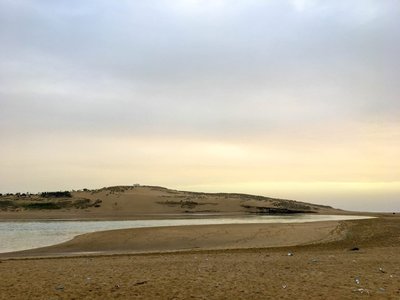 IMG_7735.jpg