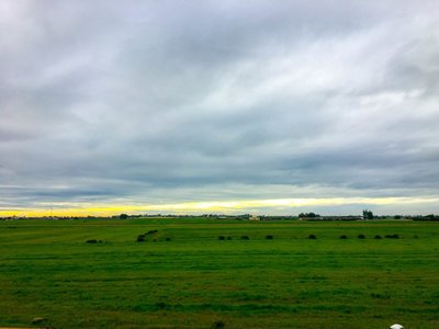 IMG_7686.jpg