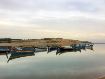 IMG_7714.jpg
