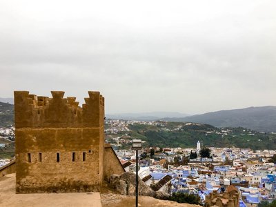 IMG_7767.jpg