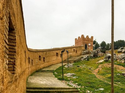IMG_7771.jpg