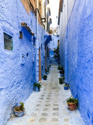 IMG_7780.jpg