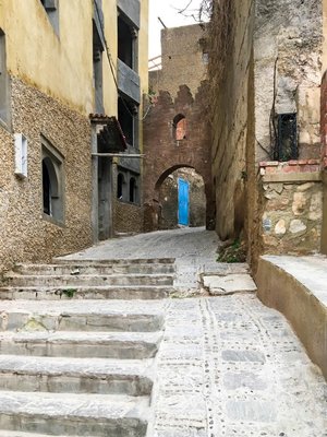 IMG_7782.jpg