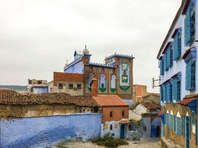 IMG_7784.jpg