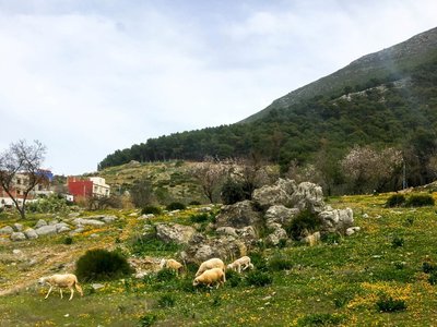 IMG_7808.jpg