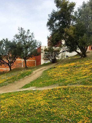 IMG_7810.jpg
