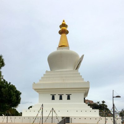 IMG_7842.jpg