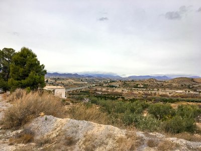 IMG_8128.jpg