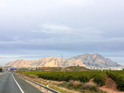 IMG_8191.jpg