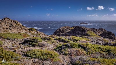 Cap-de-Creus_Costa-Brava_Spain_110253.jpg