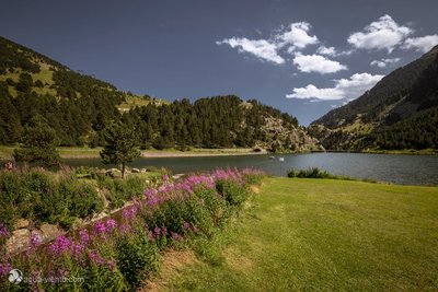 Spanien Katalonien - Vall de Nuria-5927.jpg