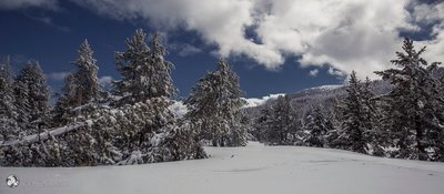 Tuixent La Vansa - Serra de Port del Comte-01.jpg